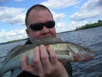 Gösfiske i Åmänningen